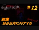 【シャドーコリドー実況】深淵を30分以内でクリアを目指す　＃12