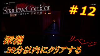 【シャドーコリドー実況】深淵を30分以内でクリアを目指す　＃12