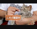 【モアクリ】 おくすり飲む日々