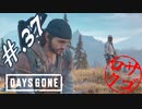 【DaysGone】ヘタレゴーン【初見実況】#.37