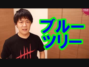 ブルーツリーさんは絶対に韓国擁護をしなければいけない罰ゲームでもやっているの？