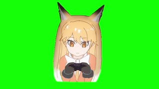 キタキツネ素材
