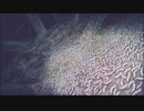 虫苦手な人、閲覧注意！寄生虫編、すたぁ～とぉ！『真 流行り神』~寄生虫編~ #84
