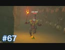 マスターモードで世界を救う ゼルダの伝説BotWを実況　part67
