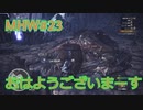 【モンハンワールド】新米ハンターまったりアステラ生活#23～ストーリー編～【ゲーム実況】