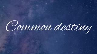 MV Common destiny 【Lite】