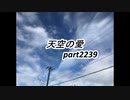 天空の愛2239super