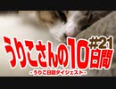 うりこさんの10日間 - 2019#21
