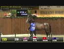 【2019北海道サマーセール】3日目 上場番号701～750