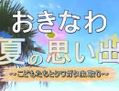 【沖縄の夏の思い出】こどもたちとクワガタ虫取り体験　in 東村[桜R1/9/4]