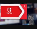 最近switch買った人が見るニンテンドーダイレクト+フェイスリグテスト