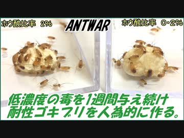 低濃度の毒エサを1週間ゴキブリに与え続けると、毒に耐性を持った「耐性ゴキブリ」になる？