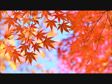 【GUMI】君と僕の物語【オリジナル】