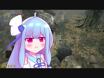 葵ちゃんがのんびり冒険する云々 Pt.08