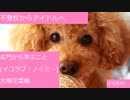 （名門から学ぶこと）「不登校からアイドルへと転身したシンデレラガール」=LOVE 大場花菜編