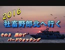 2016　北海道旅行3　羅臼でバードウォッチング
