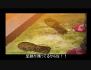ダイナミックコード　1～6話解説