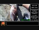 【リアル釣堀アタック】暇つぶしフィッシングPart8 海上釣堀田尻 RTA 01:11.43【真鯛チャート】