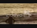 mexico_surfers　藤谷里志