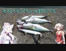 【岸和田一文字】ONEとイタコとちょっと釣りにでも。3回目【VOICeVIフィッシング】