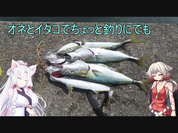 【岸和田一文字】ONEとイタコとちょっと釣りにでも。3回目【VOICeVIフィッシング】