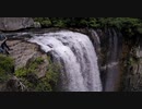 Pexels Videos 2253184　藤谷里志