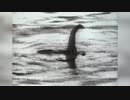 伝説の怪獣ネッシーは「巨大ウナギ」、ＤＮＡ調査で科学者らが見解（6日）