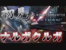 【MHW】ソロでお前らモンスターを駆逐してやるよ‐迅竜‐【モンスターハンターワールドアイスボーン】