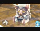 MHWアイスボーンやる！【10】
