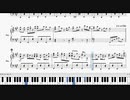 【東方ニコ楽祭支援】他愛も無い二人の博物誌【ピアノリメイク】