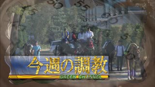 '19今週の調教7月～9月BGM