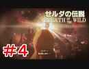 ゼルダ初心者とガチ勢のほのぼの伝説【ゼルダの伝説ブレスオブザワイルド実況：part4】