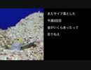 またサイフ落とした / webnokusoyaro