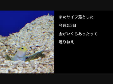 またサイフ落とした / webnokusoyaro