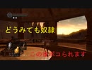 地獄の初見縛り【ダークソウルリマスター】part18
