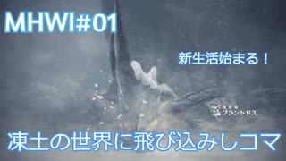 【MHWI：アイスボーン】新米ハンター極寒セリエナ生活#01～ストーリー編～【ゲーム実況】