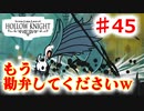 【Hollow Knight】虫嫌いのホロウなナイト#45　頑張ったけど進めなかったよ～ｗ