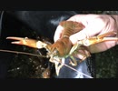 外来種を食べに行こう！【#16ウチダザリガニ】