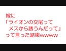 【2ch】嫁に「ライオンの交尾ってメスから誘うんだって」って言った結果wwww