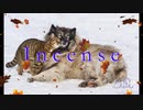 【オリジナル インスト】Incense／EIKI【弾いてみた】
