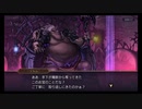 超時空猫？アナザーエデン実況part.518