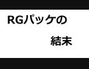 【RO】2つ買ったRGパッケの結末
