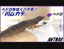 「川ムカデ」ｖｓクロヤマアリ～ヘドロを吐くバケモノ～