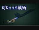 Ace Combat 7 Multiplayer314  バトルロイヤル  F-15J + HCAA