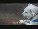 【重音テト】Happiness ver.2019【オリジナル・リメイク】