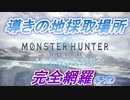【MHWI】導きの地の採取ポイント紹介【更新予定あり】