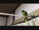 アスレチック場を作ってみよう！