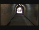 隧道で遭遇したもの 「いる。」～怖すぎる投稿映像13本～Vol.26