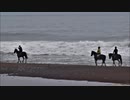 【のら】2019年8月 北海道 撮り鉄ーリング～花咲線と霧達布の道～