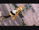 【MMD】きしめん・True My Heart（あぴネル）